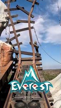 EVERY RIDE at Disney's Animal Kingdom RANKED #themepark #disneyworld #animalkingdom #wdw