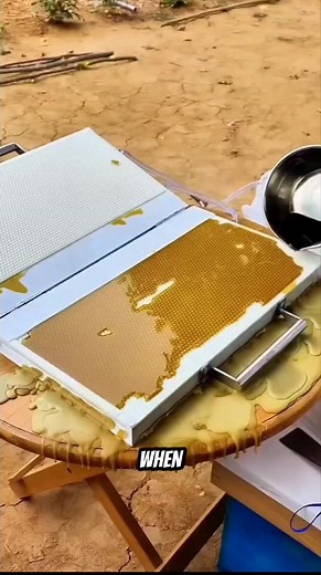 Why Honeycomb Looks So Perfect? #facts​ #funfacts​ #reels #wildfacts | Wild Facts