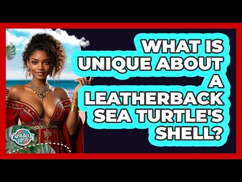 What Is Unique About a Leatherback Sea Turtle's Shell?