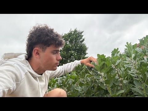 Tour de plaine 🌱 (féverole et culture de printemps) -2026