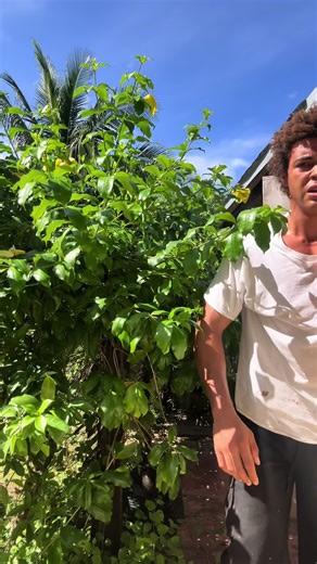 Normal Joshua behavior #fyp #viral #gym #trending | Gym Videos