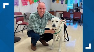 Family adopts Labrador rescued from San Antonio railroad tracks