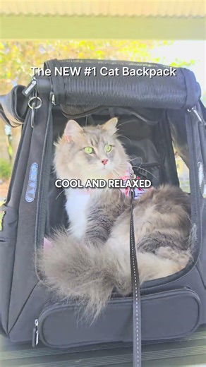The Cat Backpack That Actually Makes Sense