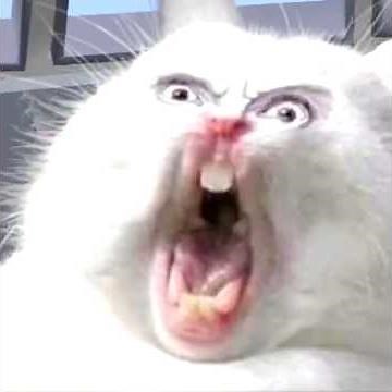 Meme Animals Cats and Dogs part 50 in Minecraft ( shorts version )