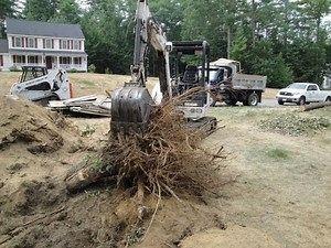 331 Bobcat removing stumps