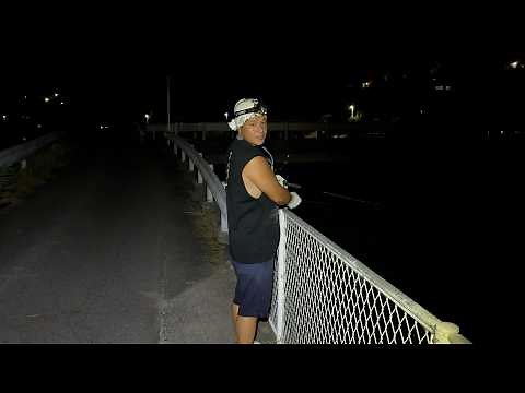 Eel Fishing in a Remote Japanese River – How Much Can You Sell Them For?