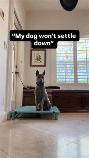 77K views · 11K reactions | Tethering = Decompression This method is...