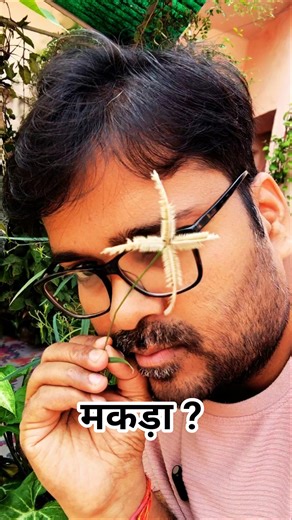 Weed identification #agriculture