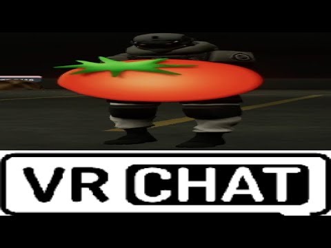 The Serious VRChat Experience