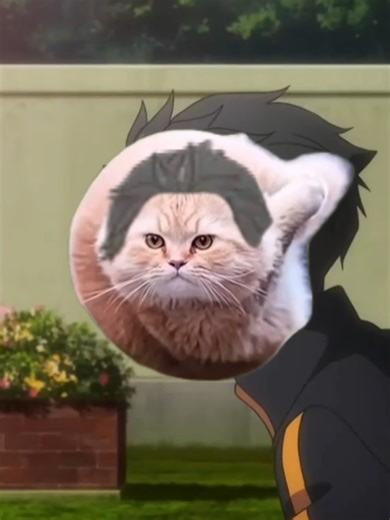 Spinning Cat Trend Inspired by Re:Zero