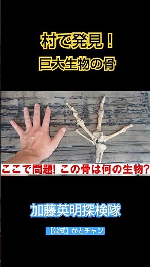 これがわかれば超一流！わかるかな？加藤英明【公式】かとチャン