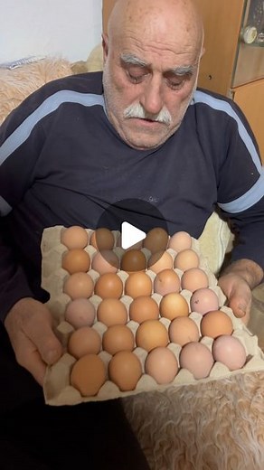 dragi on Instagram: "Dve , tri , PET 🐔"