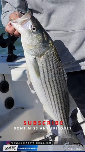 Get Ready For An All New Season