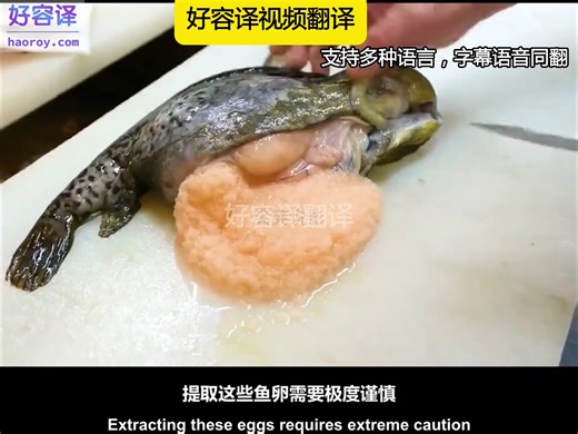 12月5日 翻译引擎多种选择 谷歌、微软、deepl等，支持多种语言翻译、双语字幕、好容译中翻英的软件