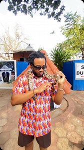 One of the amazing things about the Python at the Python temple in Ouidah is that they have low digestion and eat once a month, and sometimes they go out to feed on their own. Whenever they come across mice or rats, they will swallow the animals. They also have a 40-50 year life span . . . #Ouidah #tours #westafrica #naijaexplorers | Naija Explorers