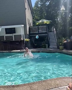 8.3K views · 36 reactions | Accuracy = 100% | CHIVE TV | Facebook