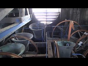 Bells at St Pauls