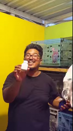 3.9M views · 107K reactions | Hasil Merpati Bawa Kamera Terbang di Tugu Jogja !! Kawasan di larang terbang drone !! Title: Swaying Rain Artist: Folk Physics #merpatiff #merpati #merpatikamera #burungdara #parrot #kicaumania #drone #dji #jogja #tugujogja | Fernando Pradhana | Facebook