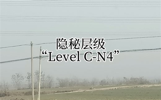【Backrooms】隐秘层级“Level C-N4”