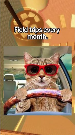 If I was your Rich Teacher 😎💰