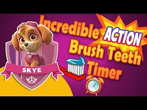 Incredible Action Timer Paw Patrol Skye