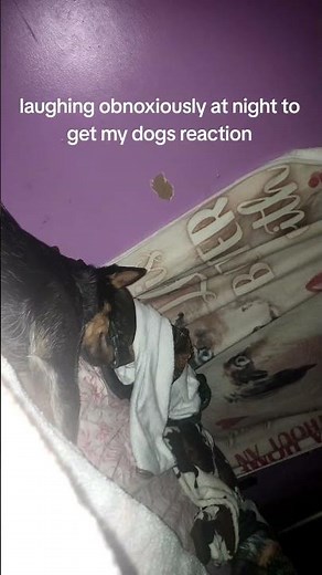 Oh she’s strict 😭