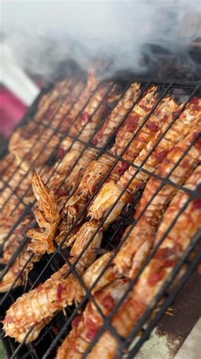 Exploring Sunny Days in Tripoli, Libya