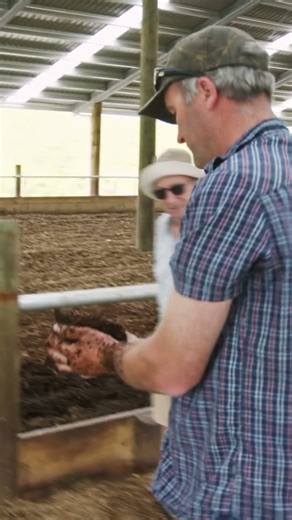 Composting barn bedding doing what it does best. #farming #dairyherd #dairyfarm