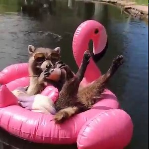 192K views · 531 reactions | Je gaat toch niet in de rij staan als je hiervan  kunt smullen? Zoek naar winkels in de buurt om te zien wanneer het erg druk is  https://goo.gle/3jXRodQ | Google | Facebook