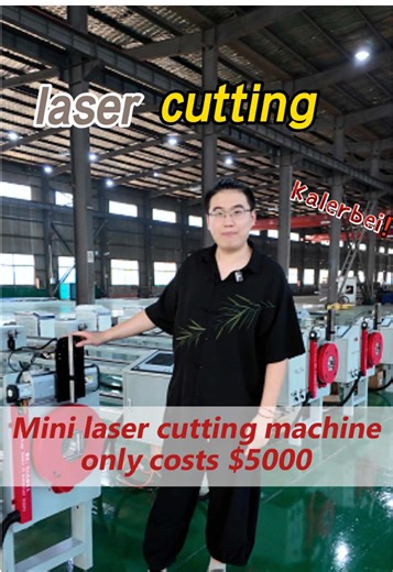 Mini Laser Cutting Machine for Precision Projects
