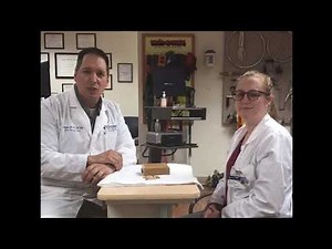 9-Hole Pegboard Assessment