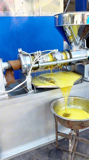 Hot pressing production line, heat the seeds first and then squeeze the oil, and squeeze it clean at once. #oilpressmachine #oilpress | Oilpress machine