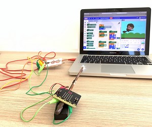 Magic Wand With Makey Makey and Micro:Bit