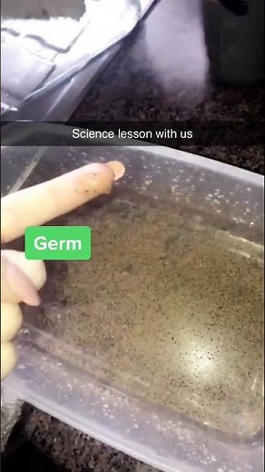 Science lesson for you all—use antibacterial products #coronavirus #antibacterial