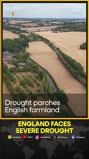 England Faces Severe Drought As Record-Dry Summer Hits Farmland | WION Shorts