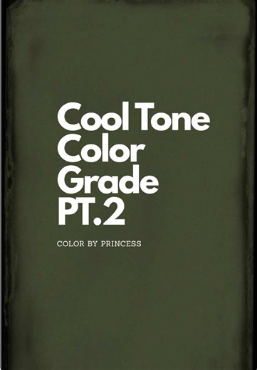 Well js say shes writing a spooky story🤷🏽‍♀️ #colorbyprincess #colorgrading #fypシ #filmtiktok #film