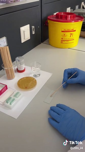 Culturing and Identifying Candida spp. with LPCB