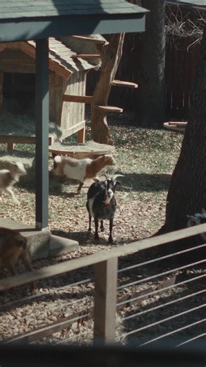 2.3M views | Check Allstate first and you could save hundreds on home insurance. | Allstate | Facebook