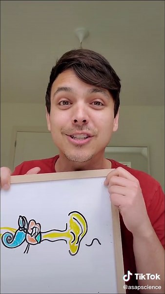 The Sound of Science: Exploring Bone Conduction