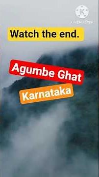 🍃Agumbe ghat Karnataka।