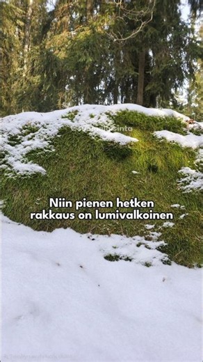 Yö - Rakkaus on lumivalkoinen #suomi #musiikki #suomalaisinta