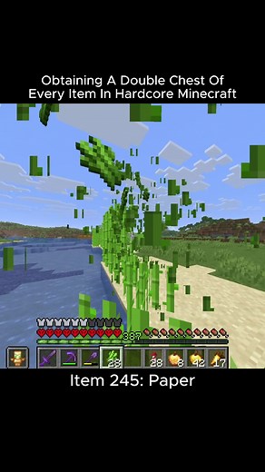 Collecting a Double Chest of Every Minecraft Item Guide