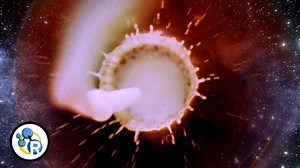 The chemistry of the universe is, in a way, in your morning cup of coffee — from the evolution of caffeine as a defensive chemical weapon in plants to the swirling eddies of milk and coffee fueled by diffusion, Brownian motion and other phenomena. | Reactions