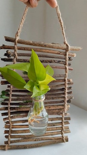 1.1M views · 12K reactions | Recycled Bottle plant decor with sticks #fblifestyle #plantdecor #reelsviralシ #trendingreel #reelsfacebook #reelitfeelit #pothos #leaves #roots #plantas #crafts #easytomake #plantmom #growth | Rupa Sheth | Facebook