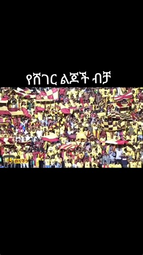 Discovering Ethiopian Coffee Culture and Its Significance