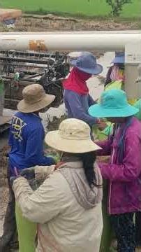 Teamwork in action! Community project builds for a better future.