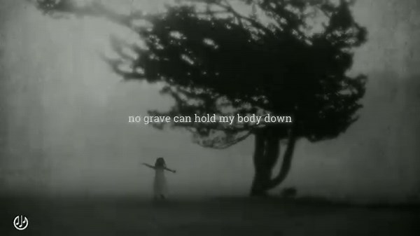 11K views · 902 reactions | Work Song, Hozier | I listen to music everyday | Facebook