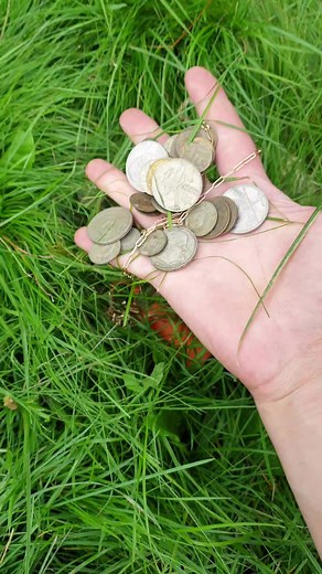 Metal Detector Adventures in Grassy Fields