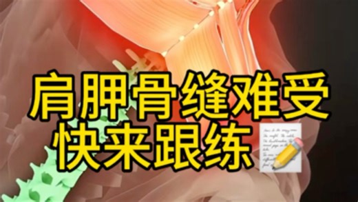 一个动作解决肩胛骨缝难受📝快来跟练#缓解疼痛的训练方法 #后背肩胛骨缝酸痛怎么缓解 #肩胛骨缝痛 #拉伸动作