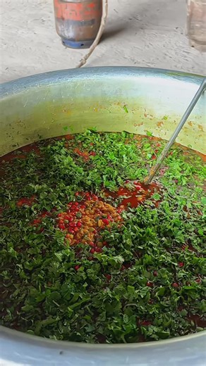 राजु भाई देवासी वोपारी on Instagram: "special haldi lalo_kathwada_official #explore #instagram #rajasthan #haldi"